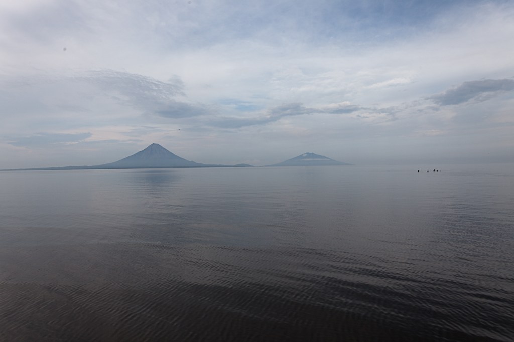 Un bien bref&nbsp;survol