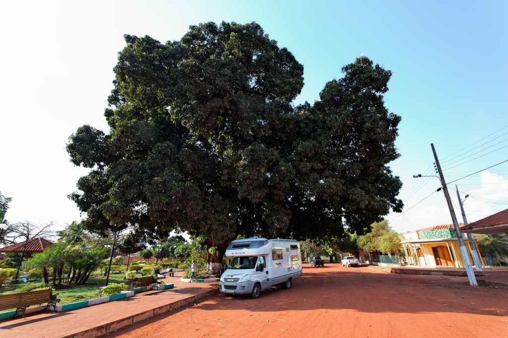 Tampicar sous le manguier de la place centrale de San Mathias